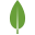 ícono de angular